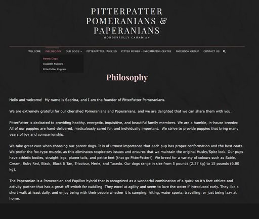 Pitter-Patter-Pomeranians-website-slide1