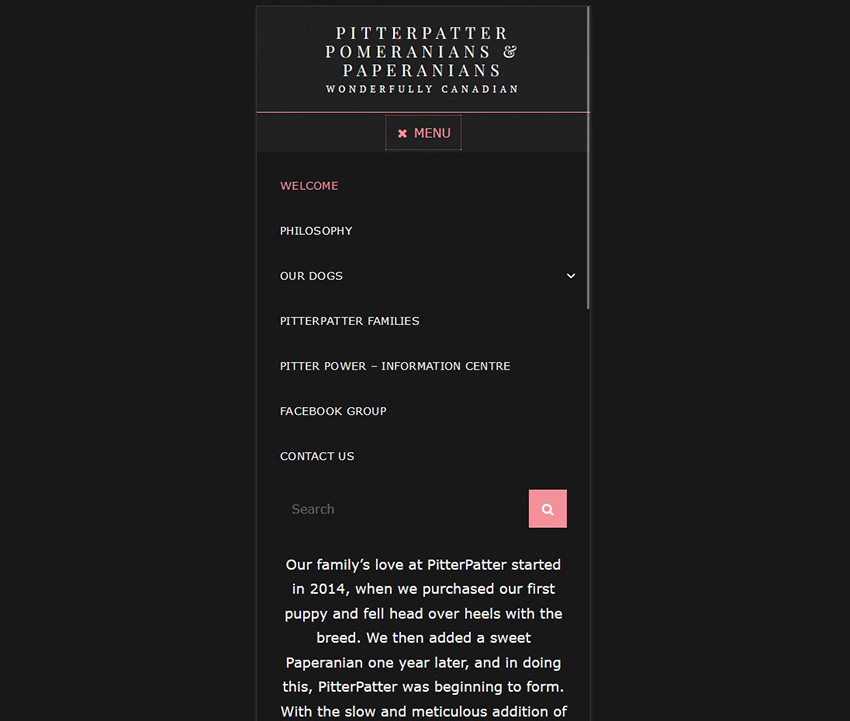 Pitter-Patter-Pomeranians-website-slide4